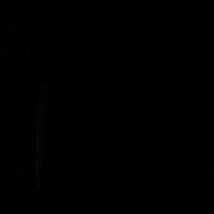 Meet your Posher, Raul